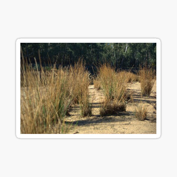Item preview, Tussocks in the river designed and sold by ndarby1.
