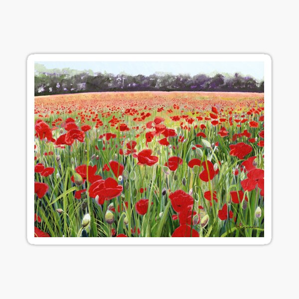 Poppies - Poppy Fields Painting used for Remembrance Day Song  Sticker