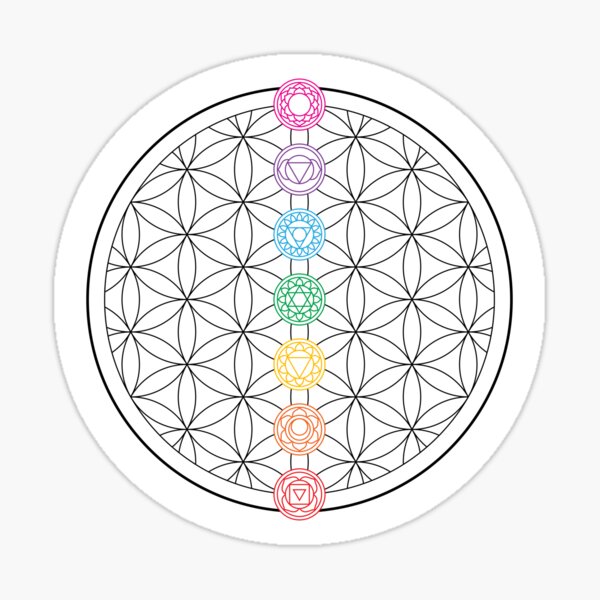 7 Chakras + Flower of Life Sticker, Spiritual Stickers, Sacred Geometry  Stickers