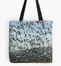 Ordered Chaos Tote Bag