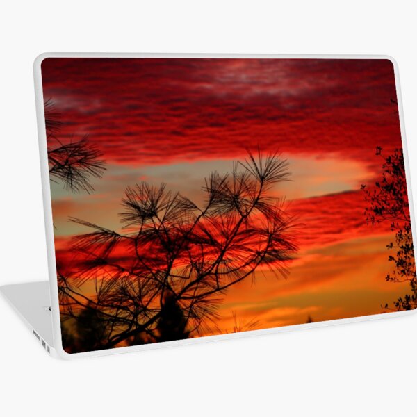 Red Across The Sky Laptop Skin