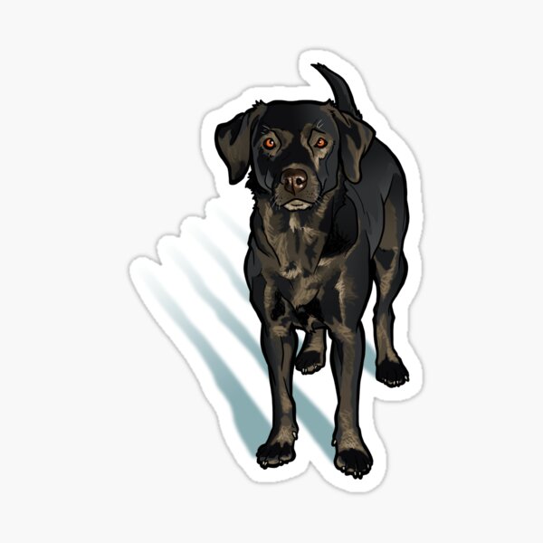 Black Lab in the Snow Sticker