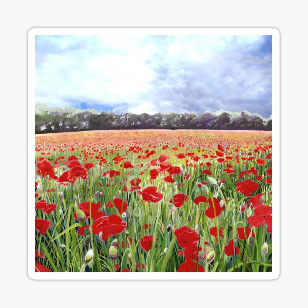 Poppies - Poppy Fields Art With Blue Sky Sticker