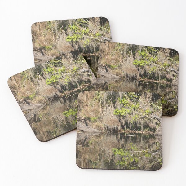 Item preview, Trees reflections on the Florida lake designed and sold by Zina Stromberg.