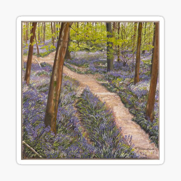 Bluebells - Frank's Wood - Art Sticker