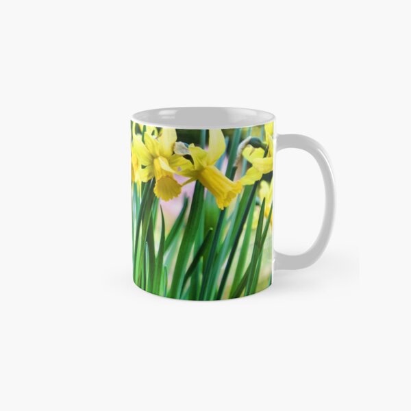 Daffodils for the Love of Spring! Classic Mug