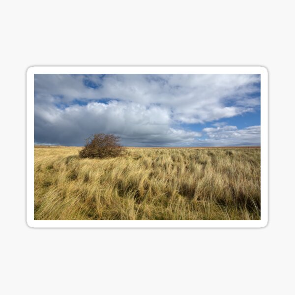 Northumberland Skies Sticker