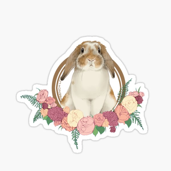 Item preview, French Lop designed and sold by liarakcrane.