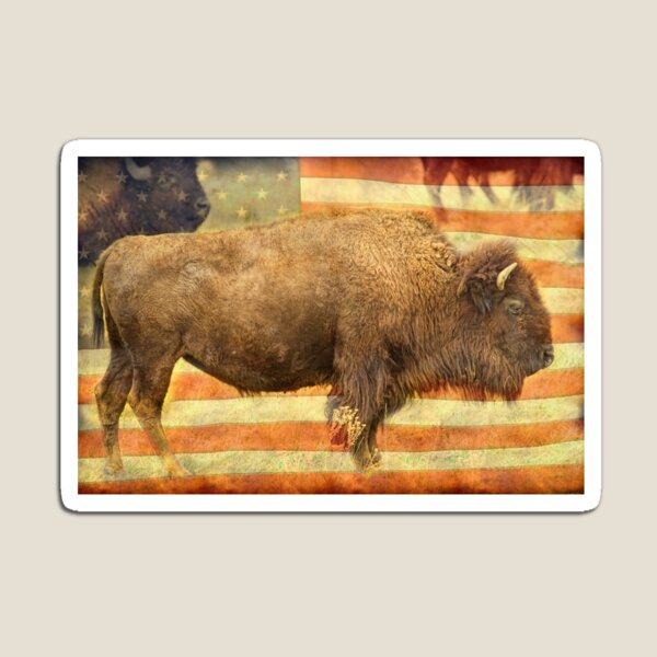 American Buffalo Magnet