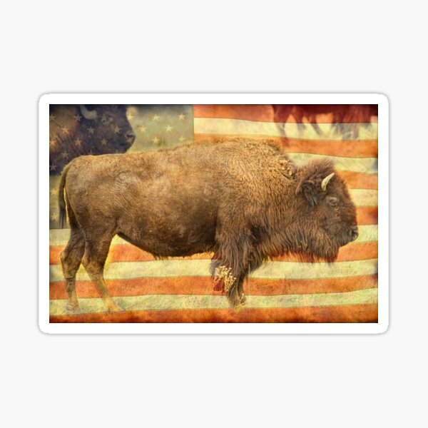 American Buffalo Sticker