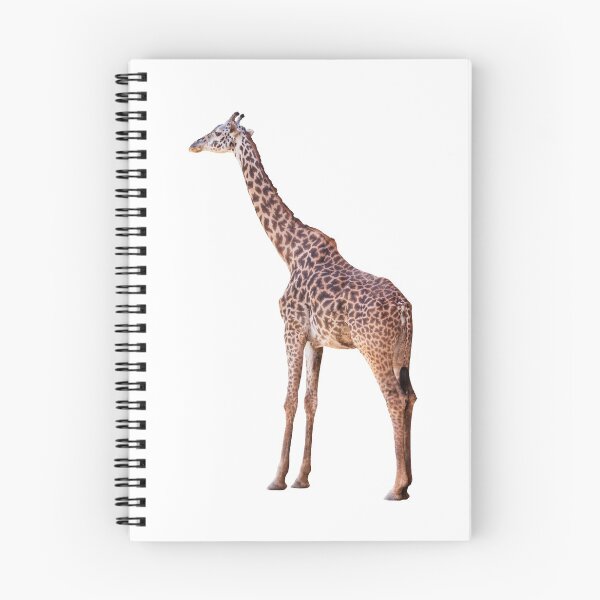 Item preview, Giraffe designed and sold by Leslie Banks.
