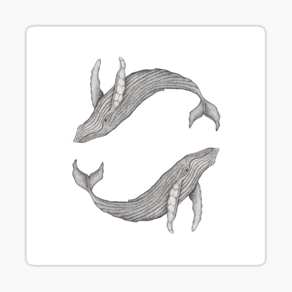 Megaptera Novaeangliae [Ted] II Sticker
