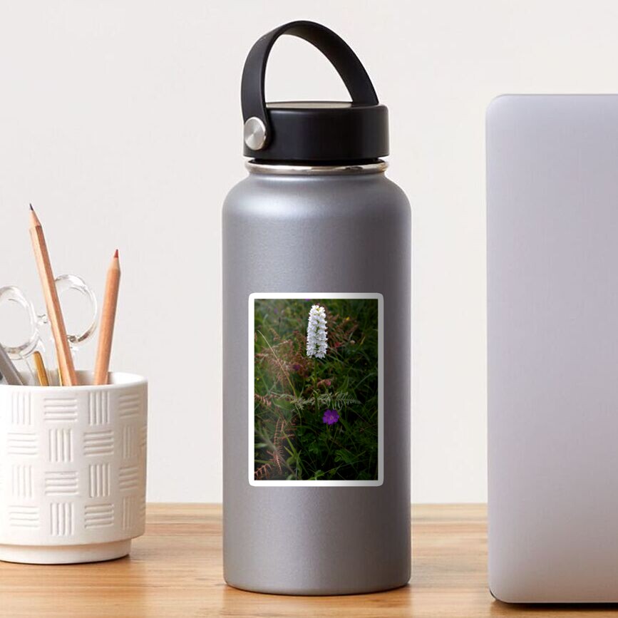 Irish White Orchid, Inishmore Sticker