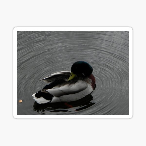 Item preview, duck designed and sold by sanguine16.