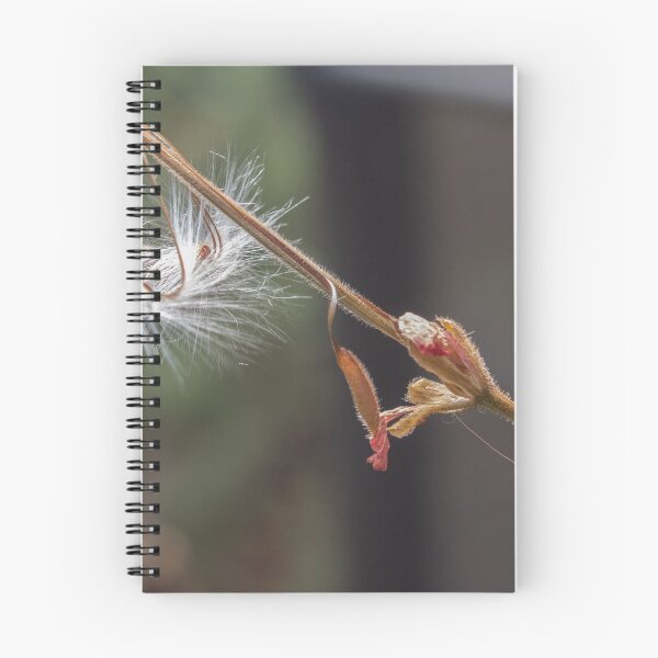 Item preview, Seeds by path Tamron 35 - 70 Macro 201902140046  designed and sold by Fred Mitchell.