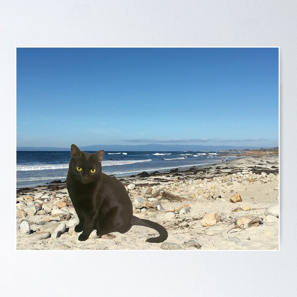 Item preview, Nikolai at the beach designed and sold by mindymood.