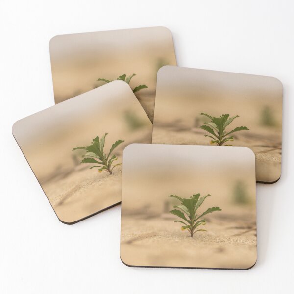 Item preview, Inkberry at Beach designed and sold by KensLensDesigns.