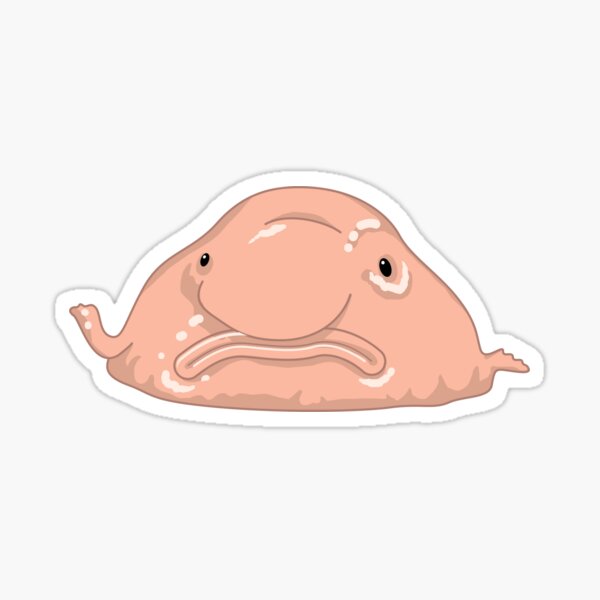 Blob Fish Funny Face Fish  Sticker for Sale by DeepFriedArt