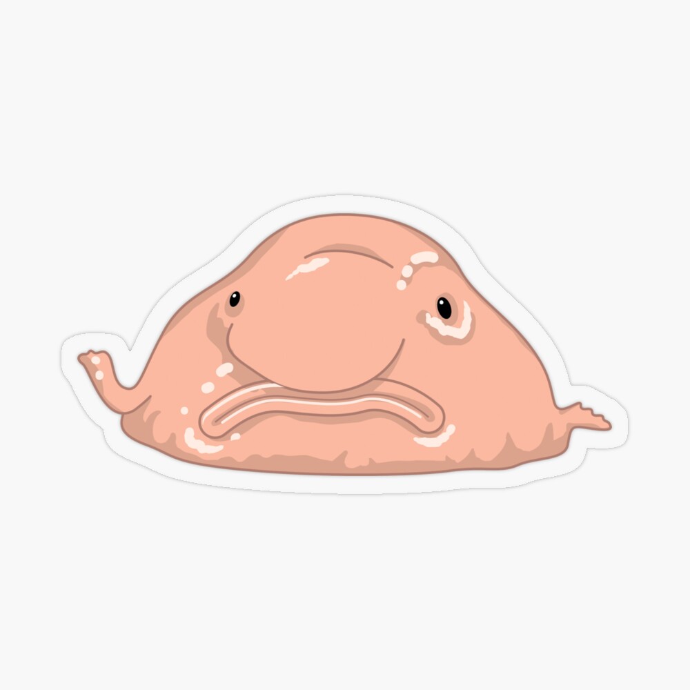 Blobfish Animal FlowVella Snout PNG, Clipart, Animal, Blobfish, Cheek,  Closeup, Face Free PNG Download