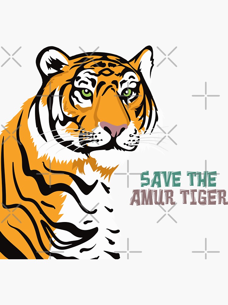 Saving the amur tiger