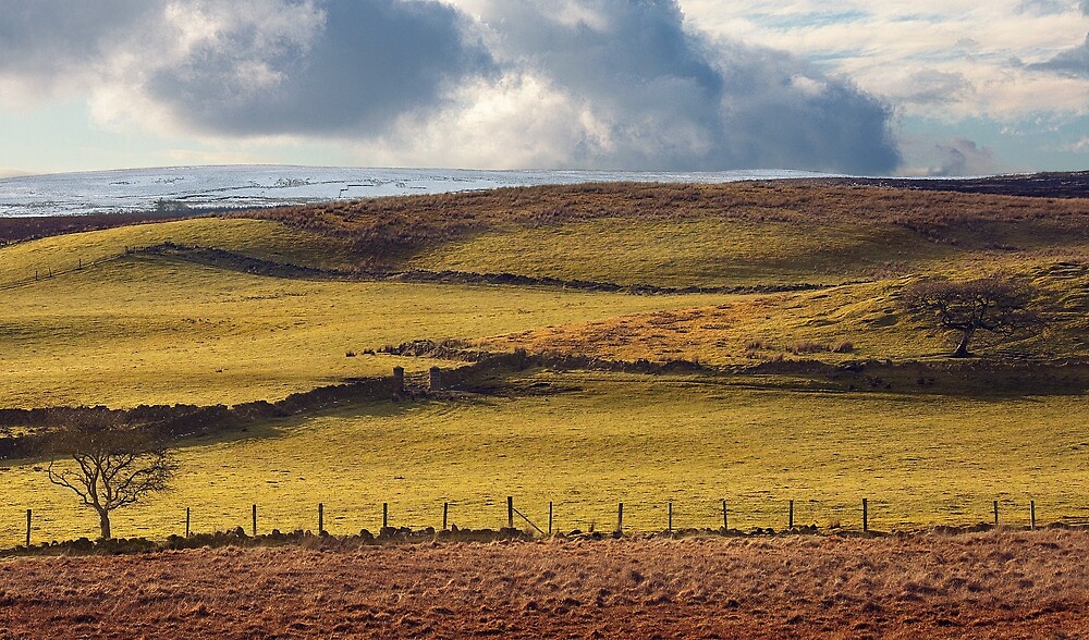 "Crockanroe, Swatragh, Northern Ireland" by Andrew Gilmore Redbubble
