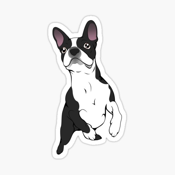 Molly the Boston Terrier Vinyl Wall Decal