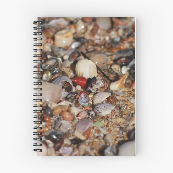 Item preview, A Shell of a Beach designed and sold by Stuart Daddow Photography.