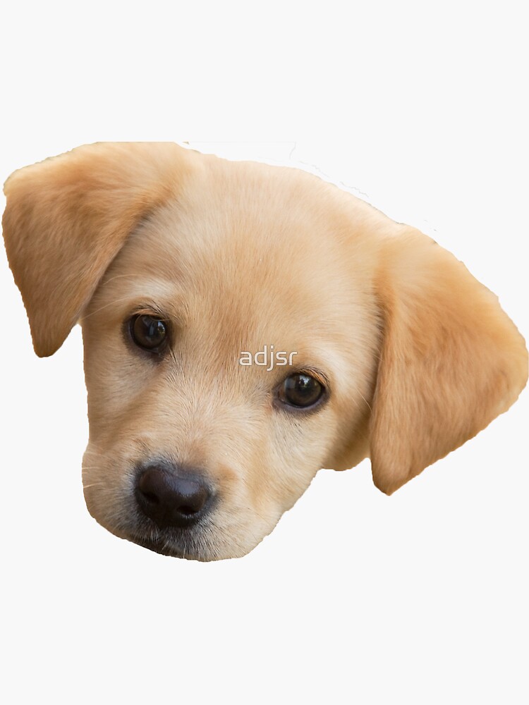 “Puppy " Sticker by adjsr | Redbubble