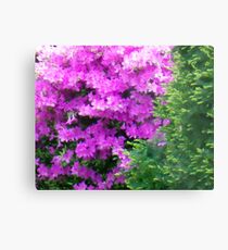 Shrub Metal Print