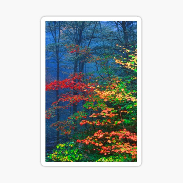 Item preview, MISTY AUTUMN FOREST designed and sold by Chuck Wickham.