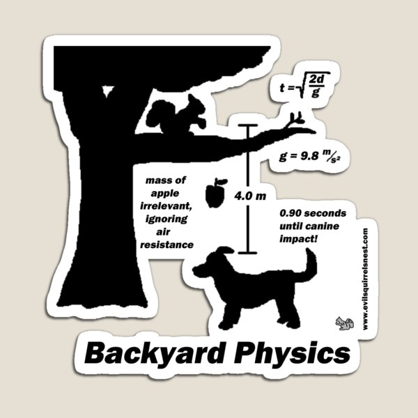 Backyard Physics Magnet