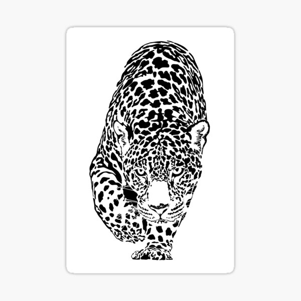 Jaguar Sticker