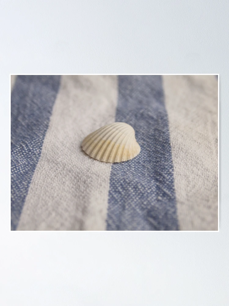 Thumbnail 1 of 3, Poster, Shell 2 designed and sold by Hextrovert.