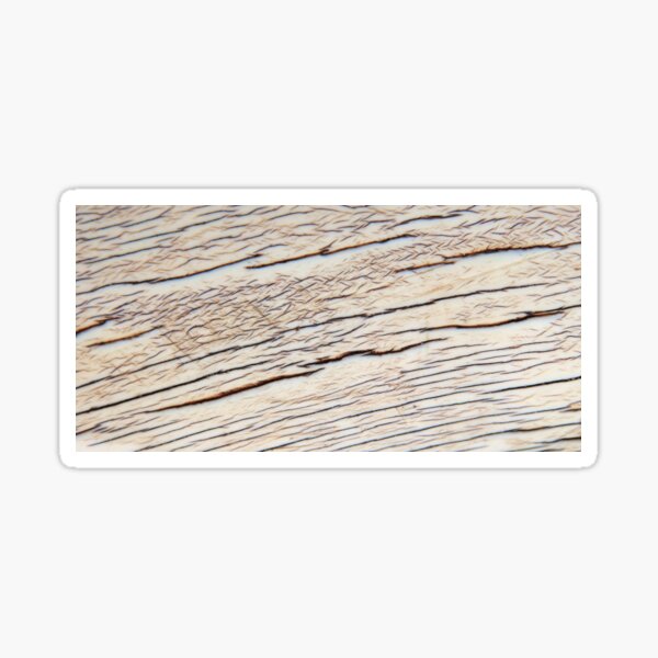 Item preview, Elephant Ivory - African Wildlife Texture and Background designed and sold by LivingWild.