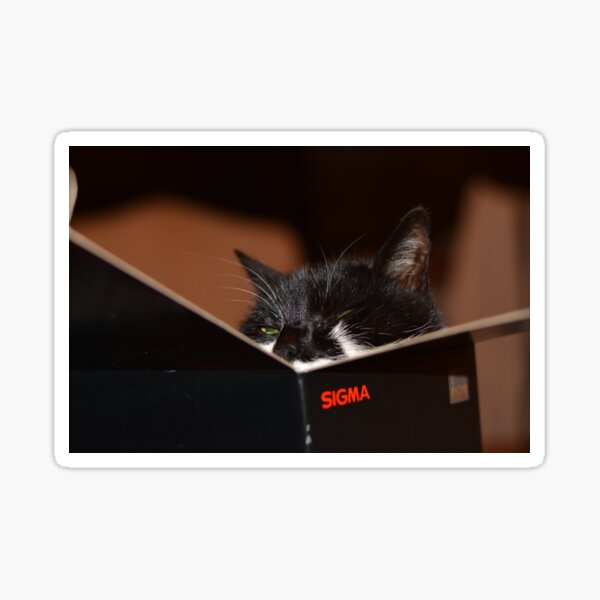 Item preview, Sigma cat  designed and sold by designbywhacky.