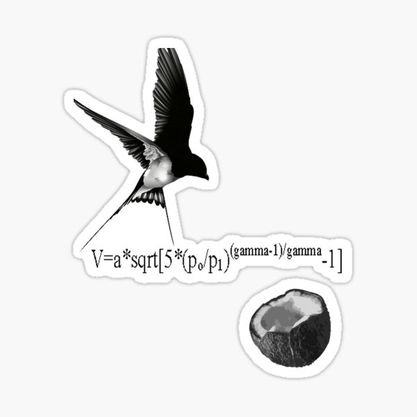 Airspeed Velocity Sticker