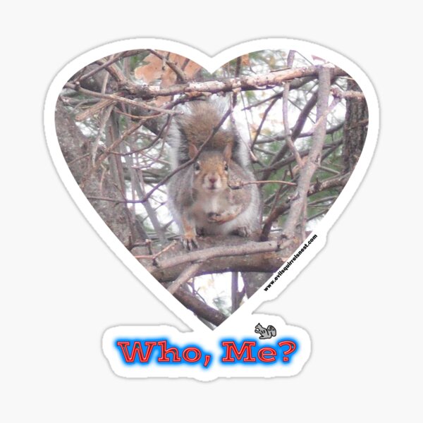 Who Me? Sticker