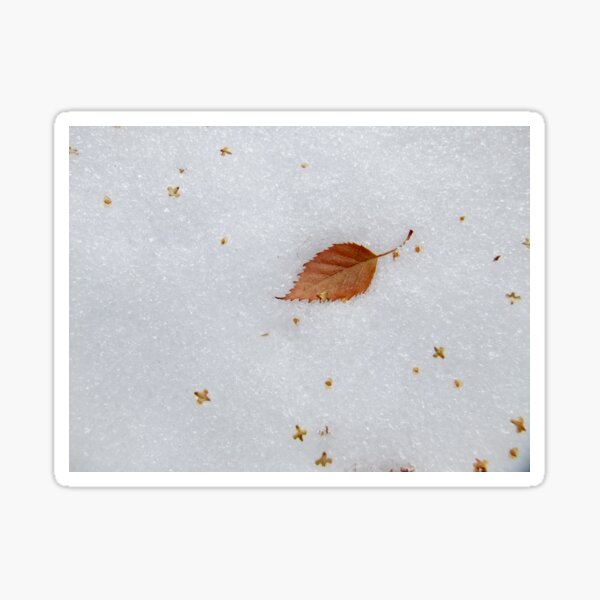 Last leaf Sticker