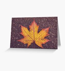 Fallen Star Greeting Card
