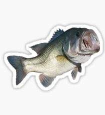Largemouth Bass Sticker
