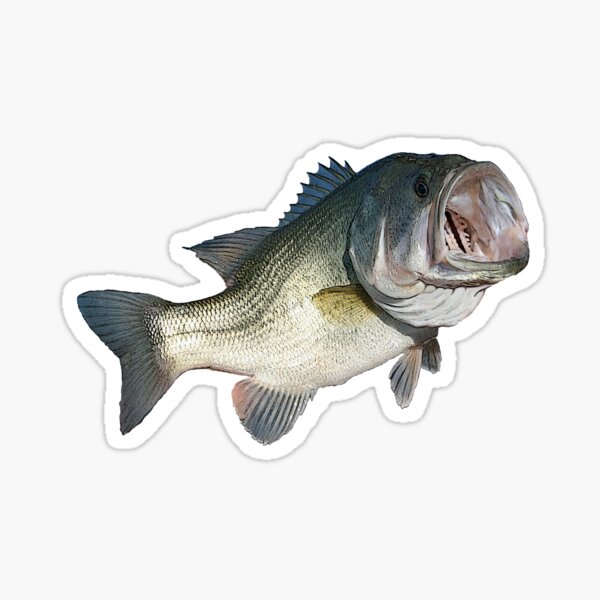 Largemouth Bass Sticker Decal Fishing Black Bass Smallmouth Tribal