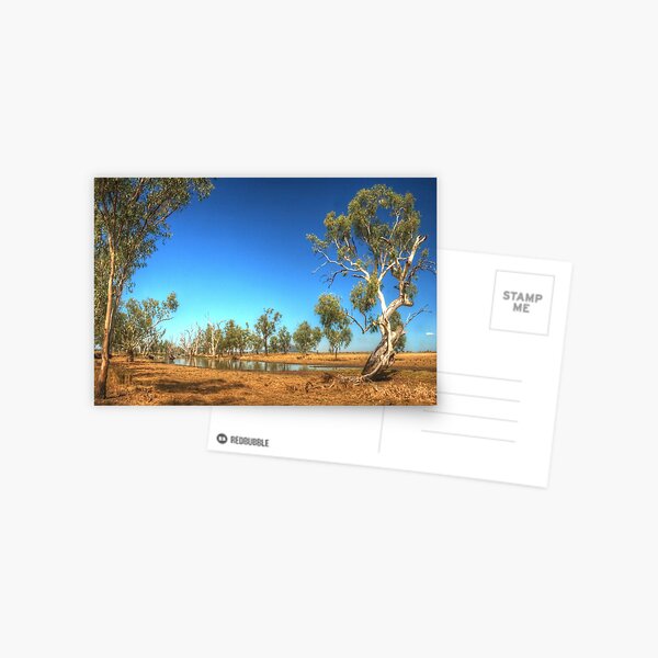 Blue Sky country Postcard