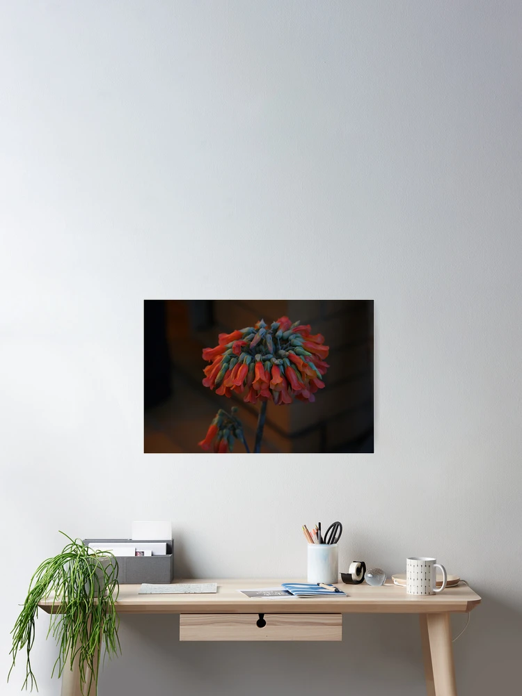 Thumbnail 2 of 3, Poster, My Flower designed and sold by R-Summers.