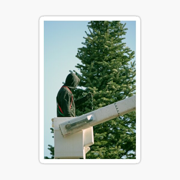 There's a tree at the Grand Hotel, one in the square as well Sticker