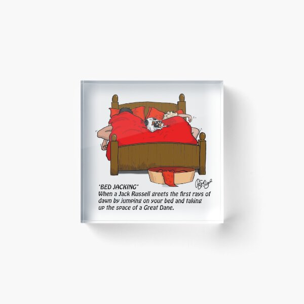 BED JACKING RED BED Acrylic Block