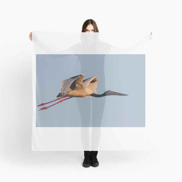 Item preview, Sunset Jabiru designed and sold by byronbackyard.