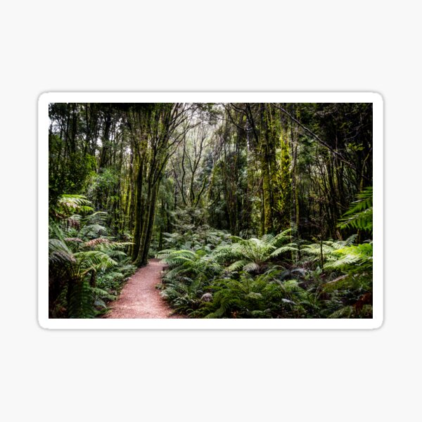 Item preview, Nelson Falls Bush Walk, Tasmania designed and sold by Russell Charters.