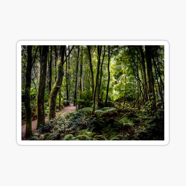 Item preview, Nelson Falls Bush Walk Tasmania designed and sold by Russell Charters.
