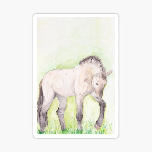 Aperçu de l'œuvre Cheval de przewalski créée et vendue par Anwamane.