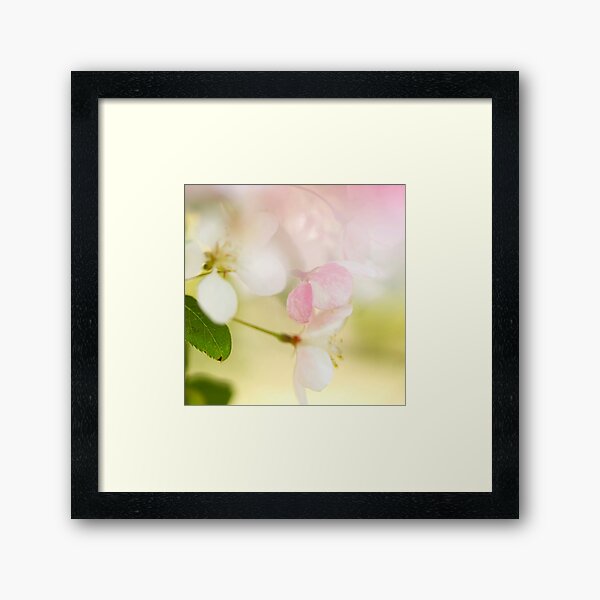 Feels Like Spring 2 Framed Art Print